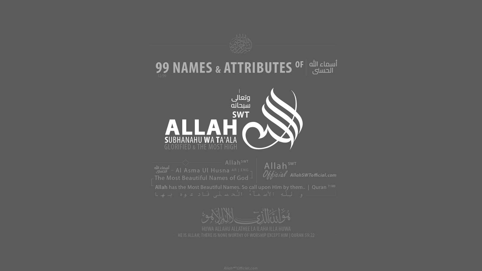 Video Image